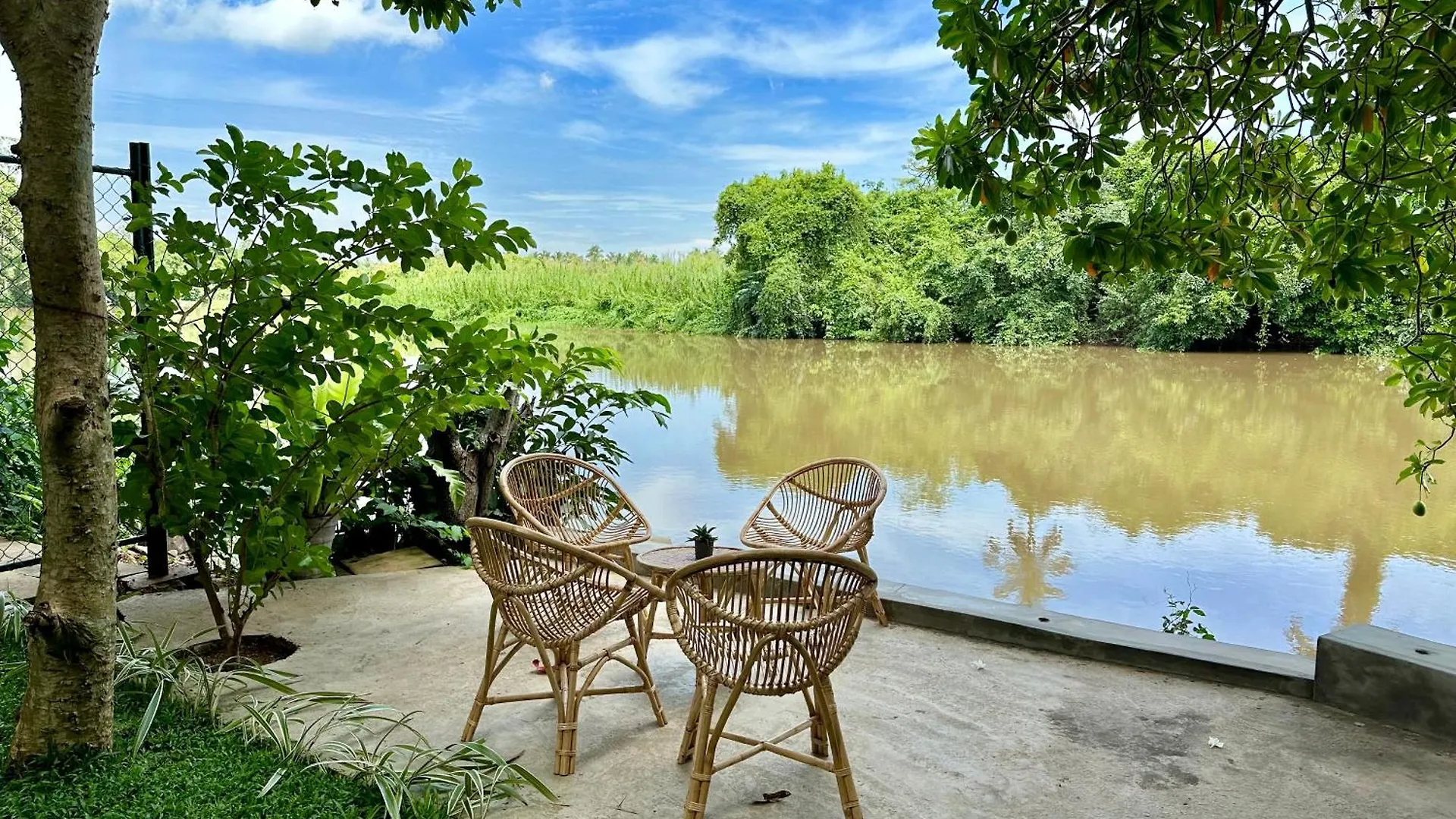 Track Monkey'S Lodge Seeduwa Sri Lanka