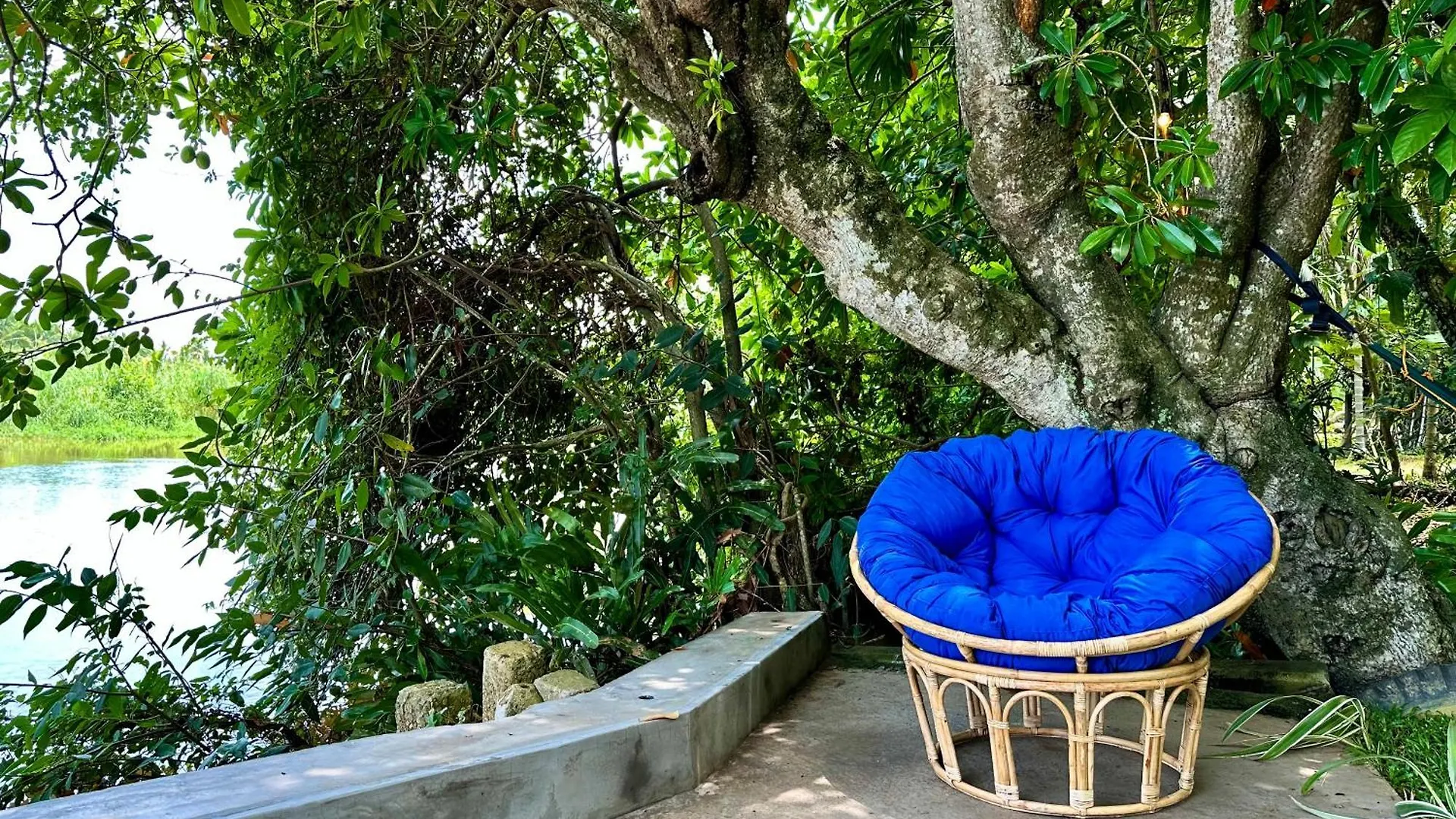 Track Monkey'S Lodge Seeduwa