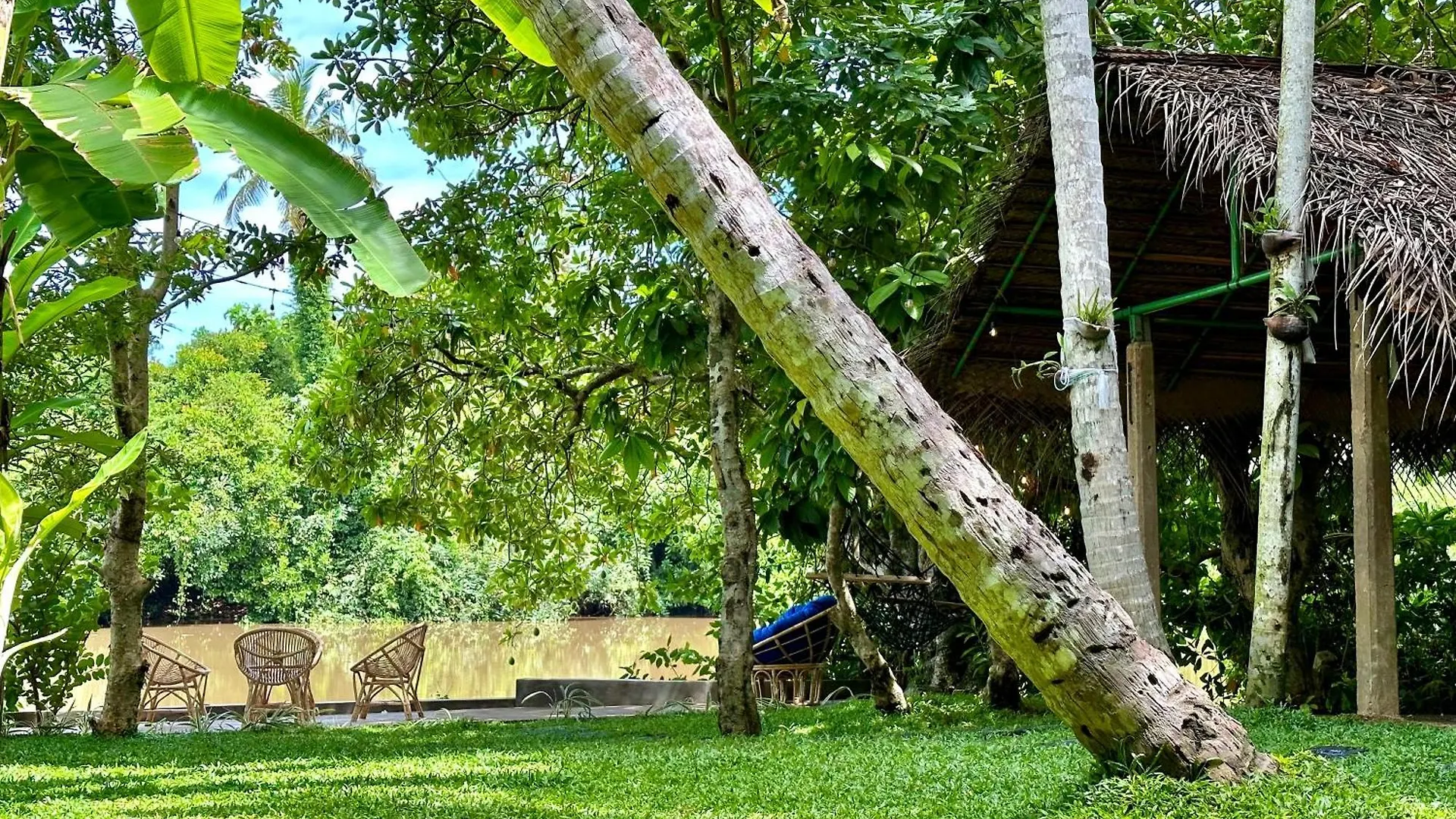 Track Monkey'S Lodge Seeduwa Sri Lanka