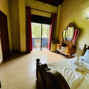 5* Отель The Royal Rose